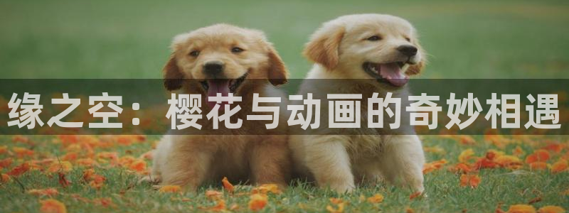 lovestage漫画免费阅读：缘之空：樱花与动画的奇妙相遇