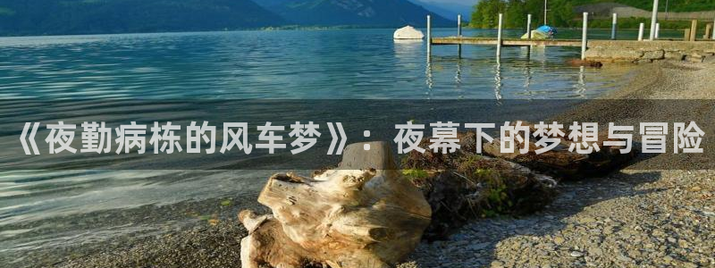 在线动画动漫下载香蕉漫画：《夜勤病栋的风车梦》：夜幕下的梦想与冒险