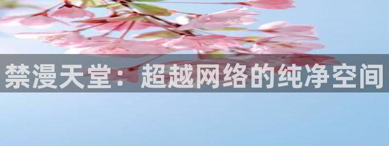 香蕉漫画下载网：禁漫天堂：超越网络的纯净空间