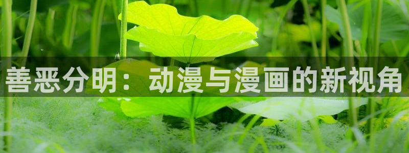 在线动画动漫下载香蕉漫画：善恶分明：动漫与漫画的新视角