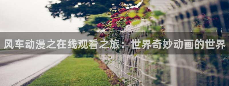 香蕉漫画下载网：风车动漫之在线观看之旅：世界奇妙动画的世界
