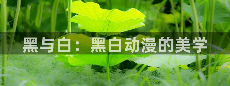 下载香蕉漫画：黑与白：黑白动漫的美学