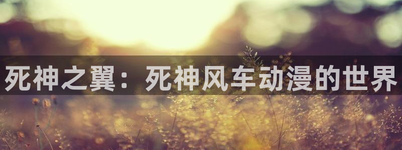 age漫画网：死神之翼：死神风车动漫的世界