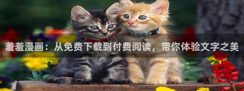 香蕉漫画：羞羞漫画：从免费下载到付费阅读，带你体验文字之美