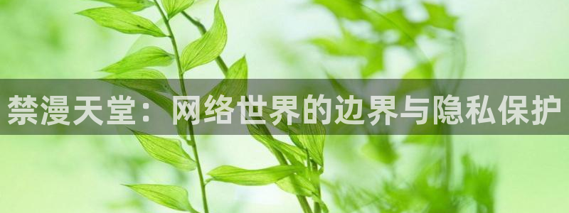 香蕉漫画下载入口：禁漫天堂：网络世界的边界与隐私保护