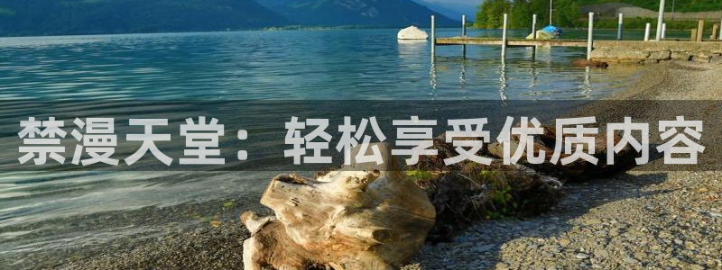 kakaopage韩漫官网：禁漫天堂：轻松享受优质内容