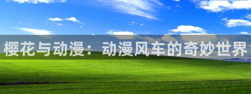 managereader漫画官网入口：樱花与动漫：动漫风车的奇妙世界