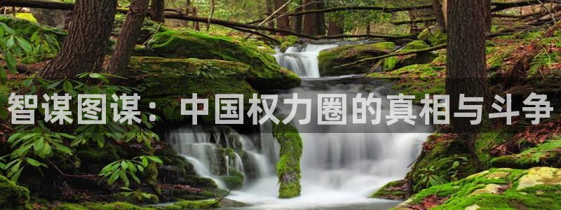 age漫画网：智谋图谋：中国权力圈的真相与斗争