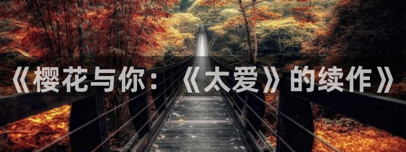 香蕉漫画网上看：《樱花与你：《太爱》的续作》